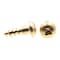Prime-Line Wood Screw, Round Head, Phillips Drive No. 8 X 1/2in Solid Brass 25PK 9207727 - alternate 2